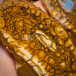 565cts - Large Tribal Yowah Nut Opal Rough Pair. Australian Opal