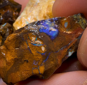 Auction Fall-Through = Your Gain! 🔥 Now More Than 50% Off RRP 🚨 335cts - 8x Opalised Wood/Vegetation Fossil Rough Parcel from Yowah