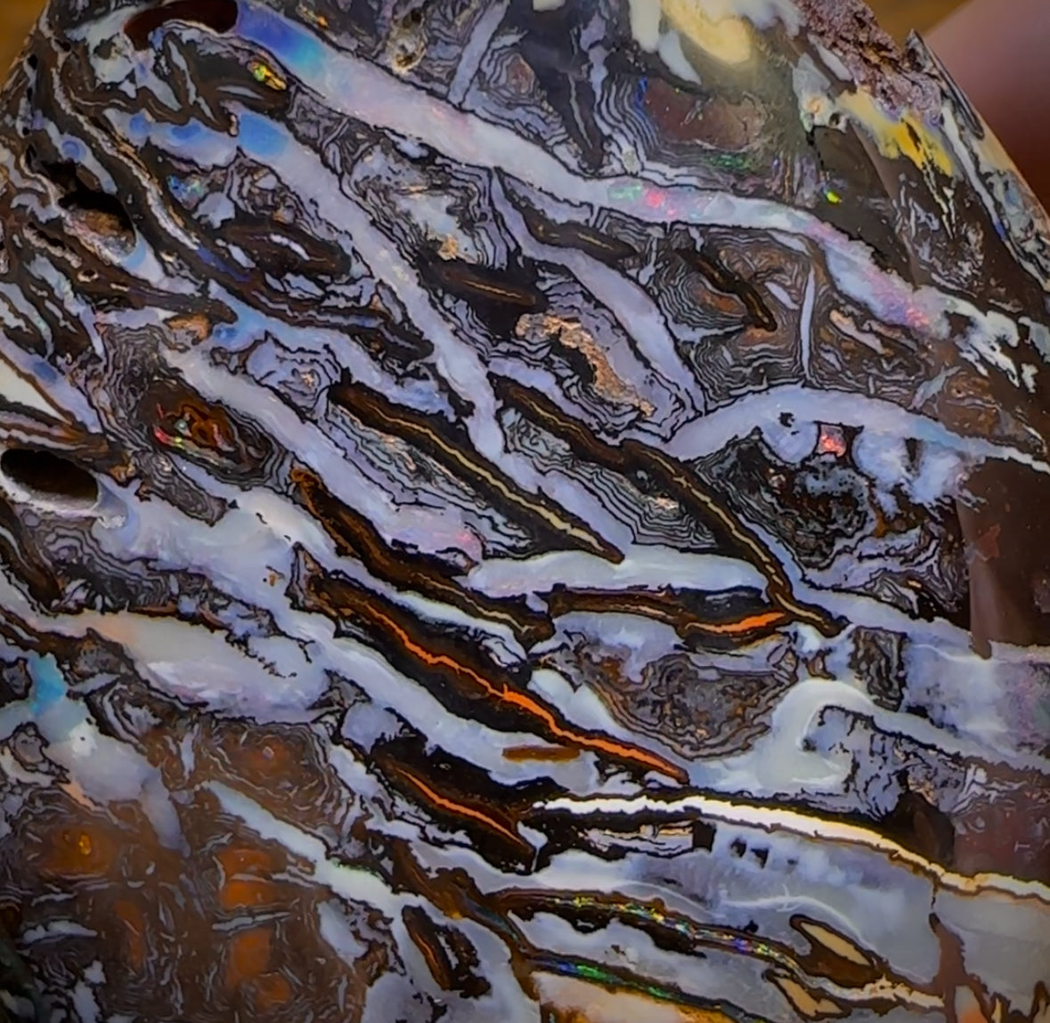 735cts - HUGE Rare Natural Broad Tribal Koroit Nut Opal Polished Specimen