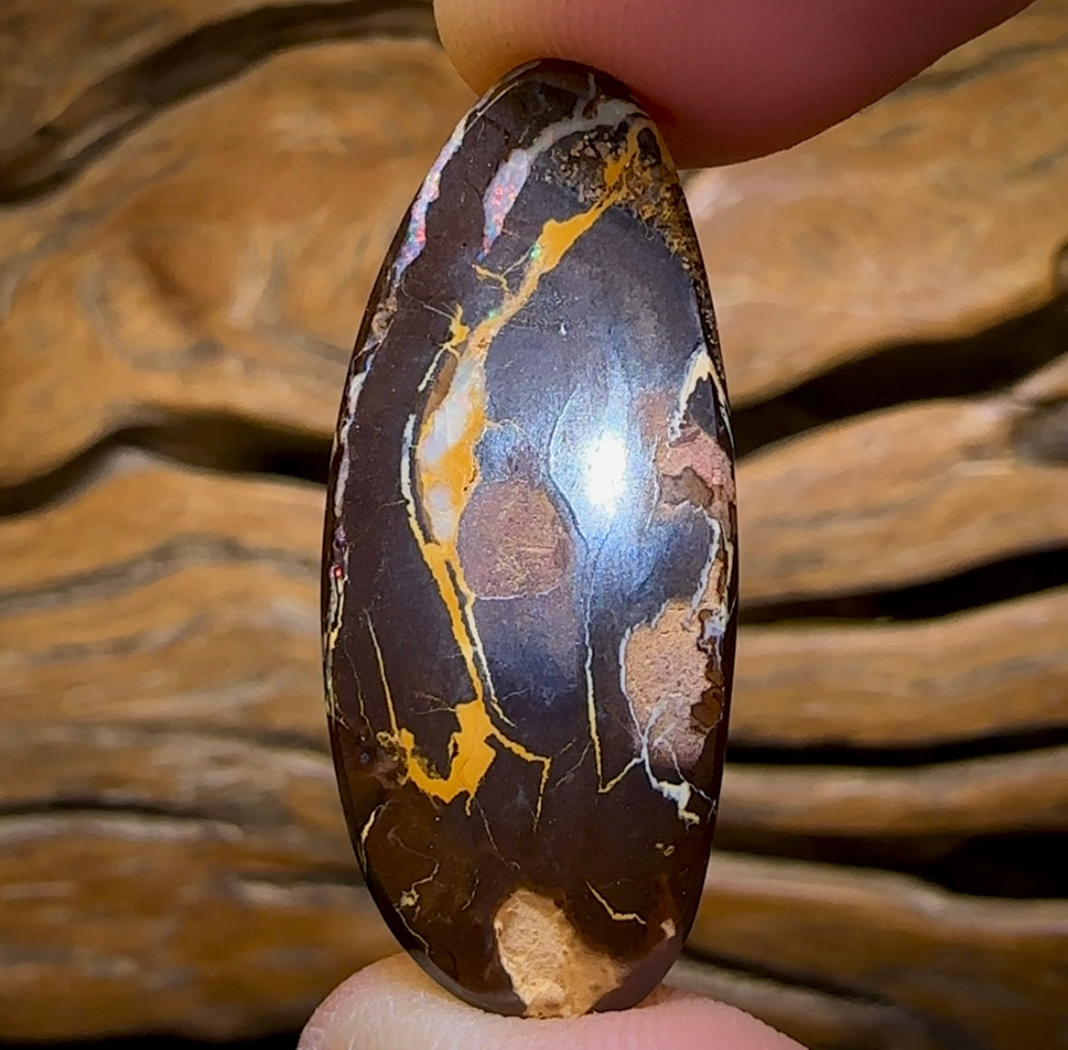 26.1cts - Queensland Boulder Opal from Yowah with Red