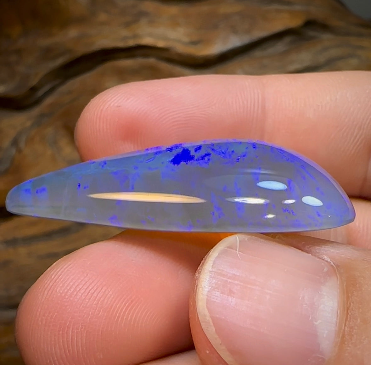 51.3cts - BIG Lightning Ridge Crystal Opal - Opal Whisperers