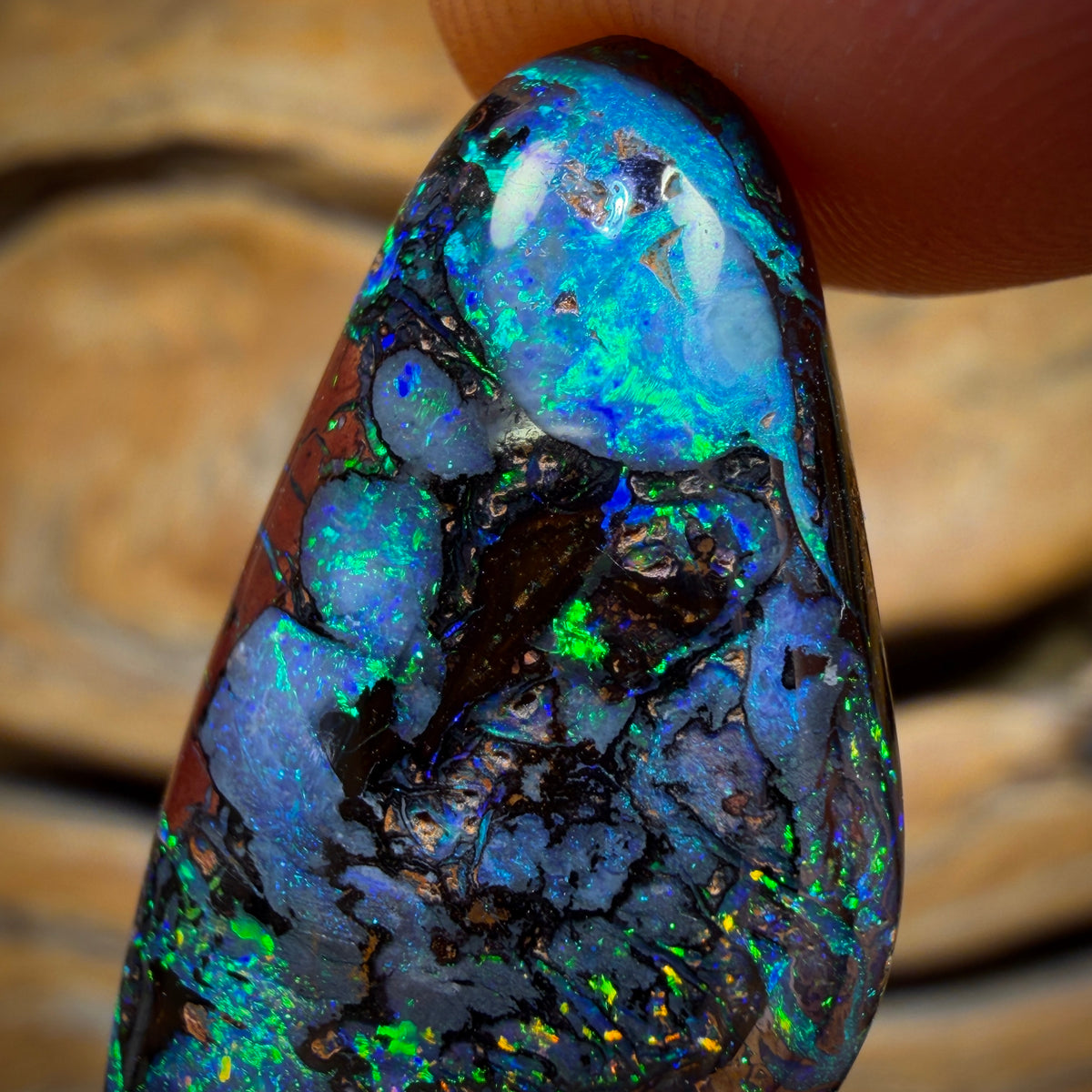 Bargain Banger Card! 26.1cts - TOP Tribal Australian Boulder Opal. Double Sided!