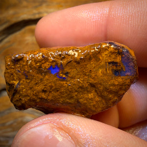 101.1cts - Vegetation Fossil Replacement Boulder Opal Rough Piece. Found on ‘OUTBACK OPAL HUNTERS’!!