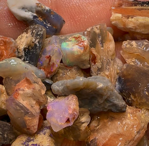 108.3cts - 40x Opalised Fossil Geological Specimens from Lightning Ridge