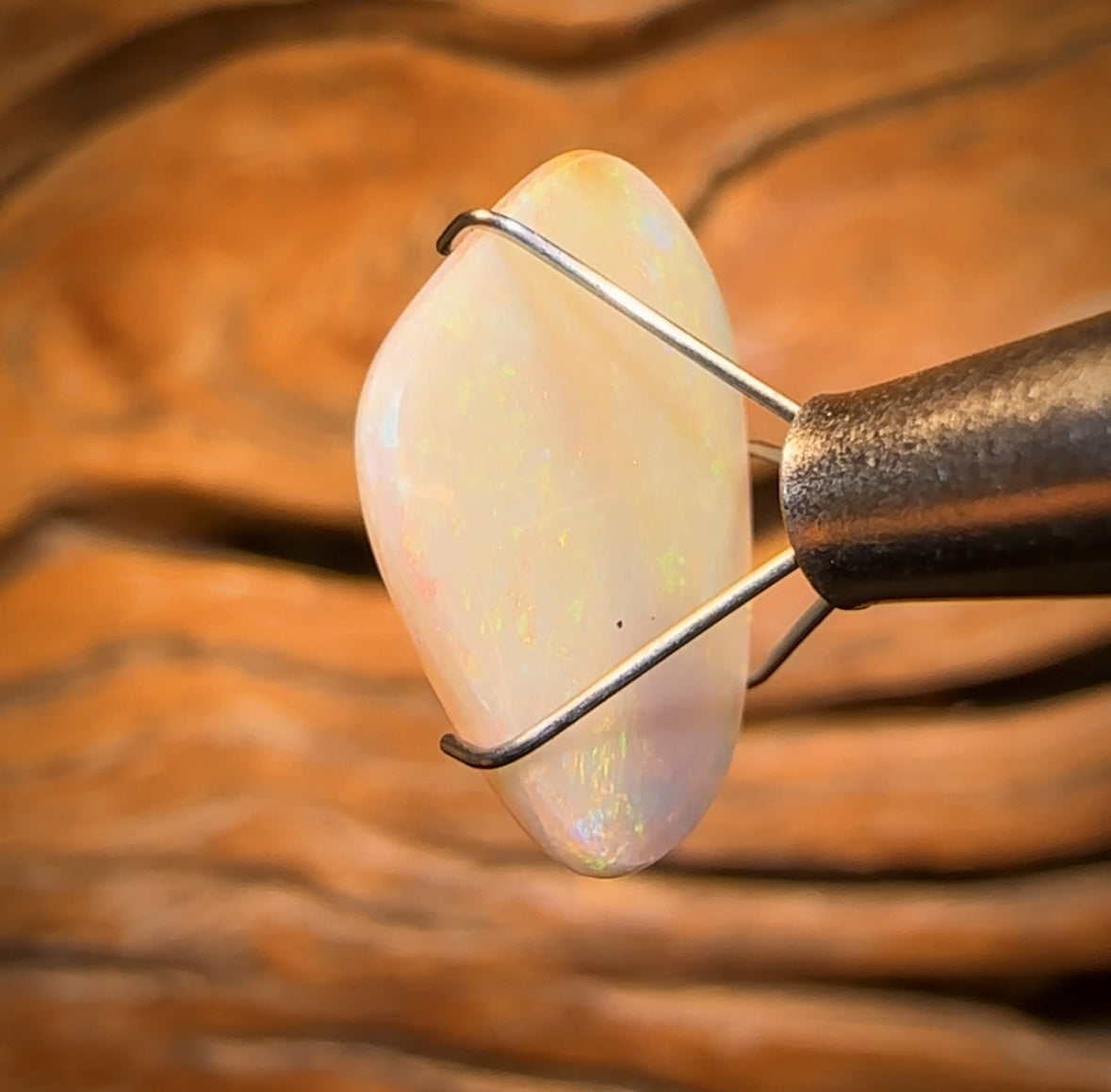 🔨 AUCTION 🔨 4.1cts - Gem South Australian White Opal