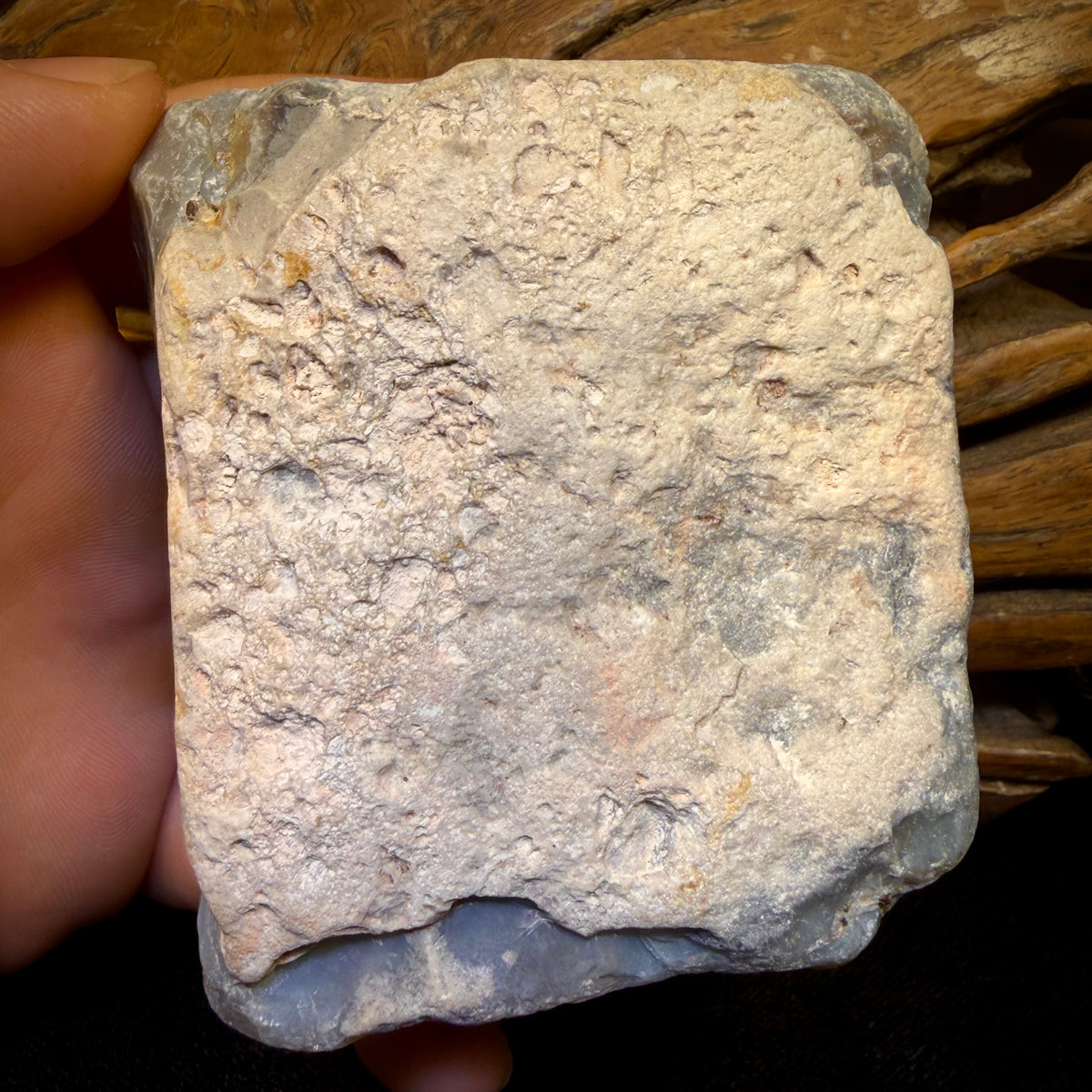 1646cts - HUGE Lightning Ridge Black Potch Opal Rough Piece