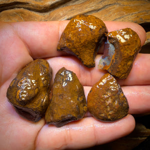 🔨 AUCTION 🔨 192.1cts - 5x Yowah Nut Kernel Rough Half’s Parcel