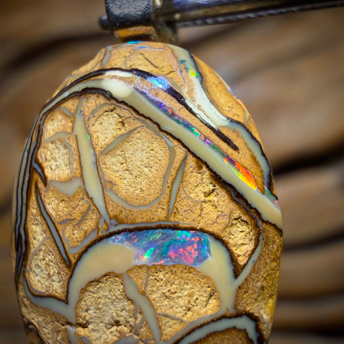 Wildcard! Solid Beige Tribal Queensland Boulder Opal Pendant