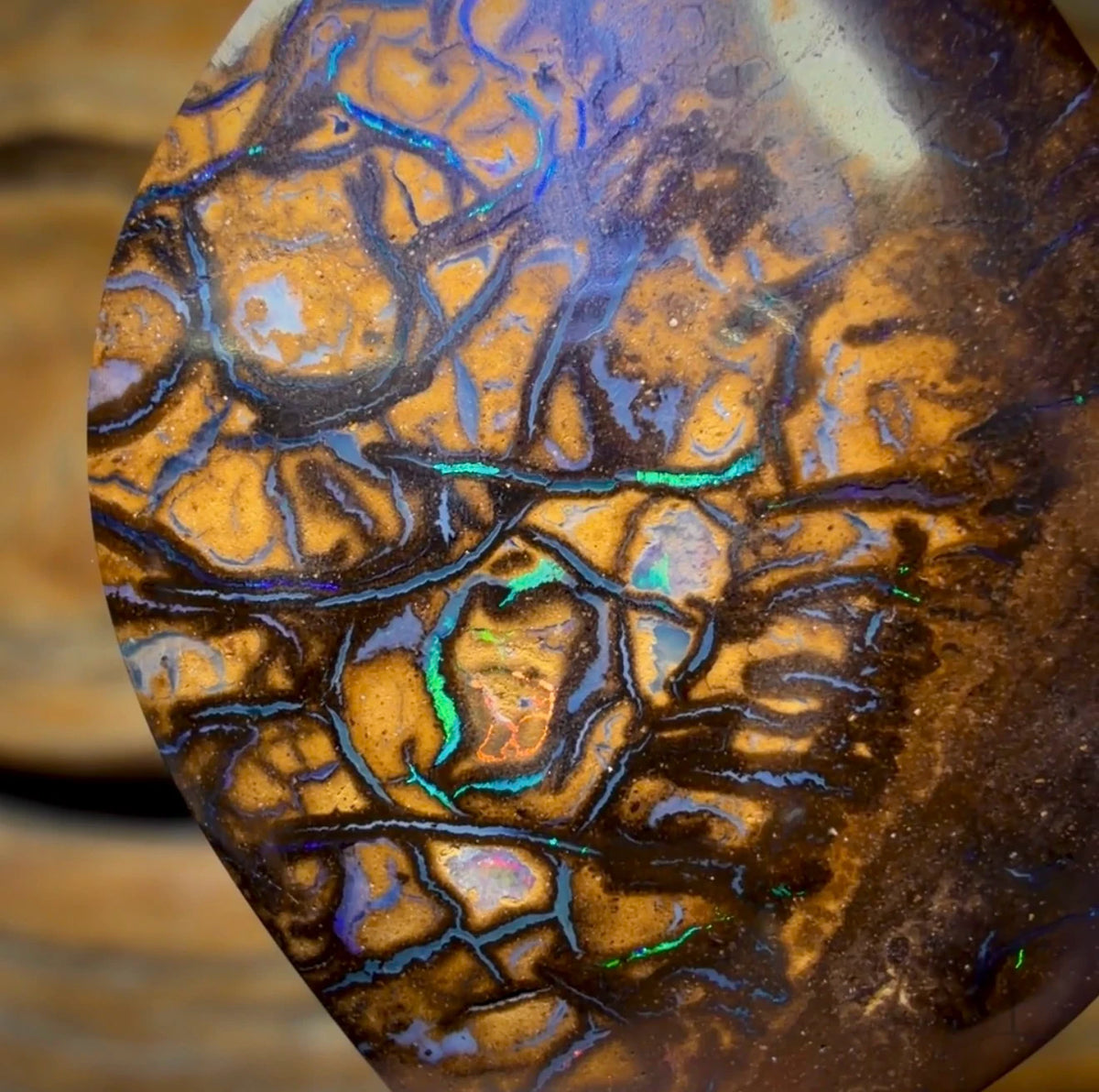 Wild Card! 37.1cts - Tribal Australian Boulder Opal from Yowah