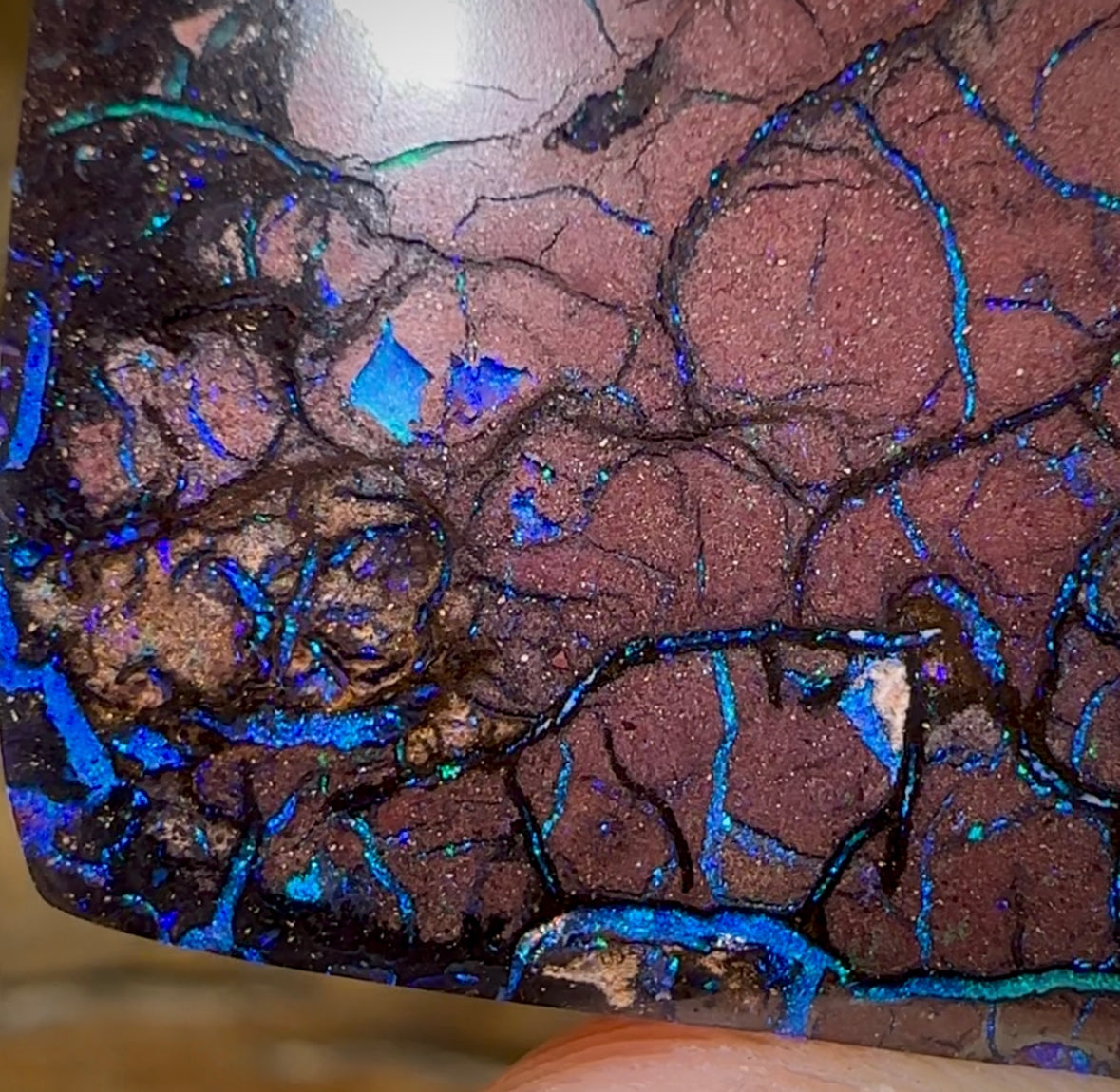 87.1cts - Australian Boulder Opal. Top Tribal - Opal Whisperers