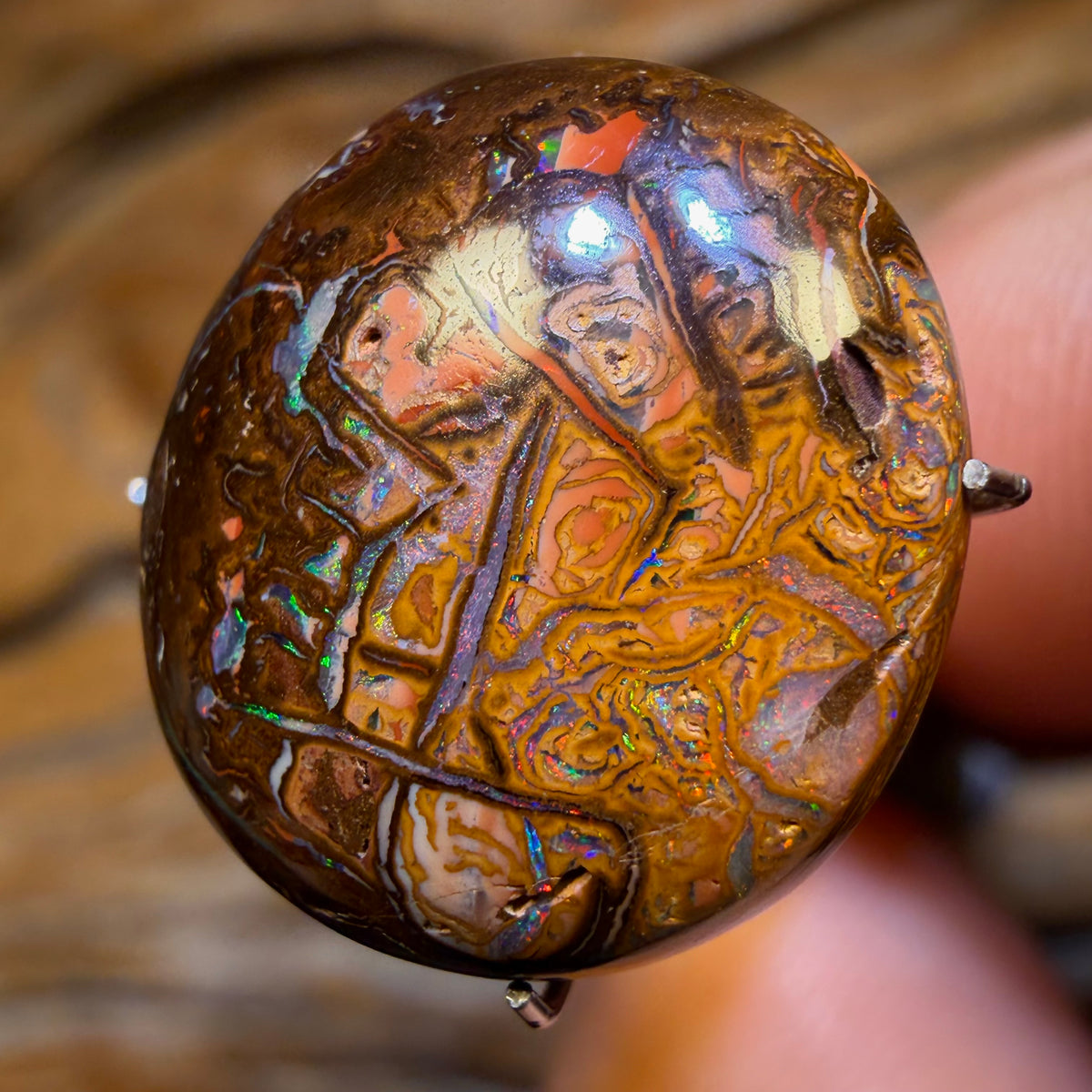 TGIF 11.2cts - Cool Tribal Yowah Nut Opal. Australian Opal