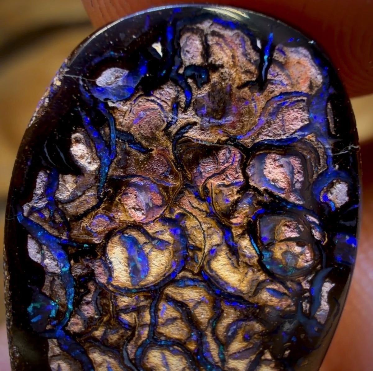 Bargain Card! 17.1cts - Tribal Yowah Nut Opal. Australian Opal