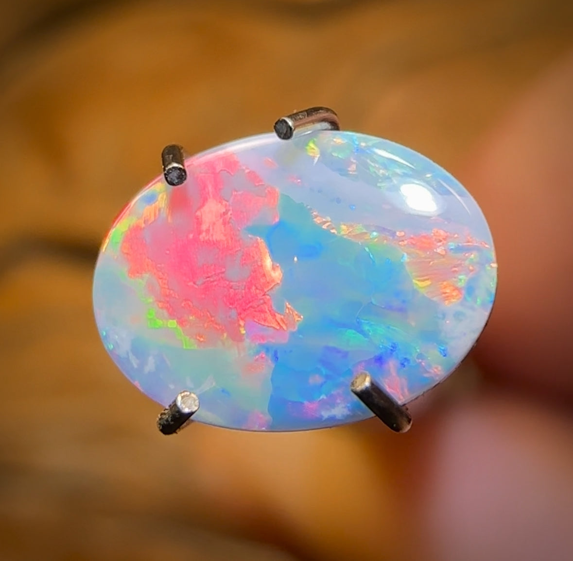 🔨 AUCTION 🔨 0.65cts - Australian Boulder Opal Doublet