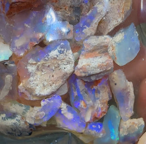 100cts - Lightning Ridge, Fossil Opal Cutting Rough Specimen - Opalwhisperers