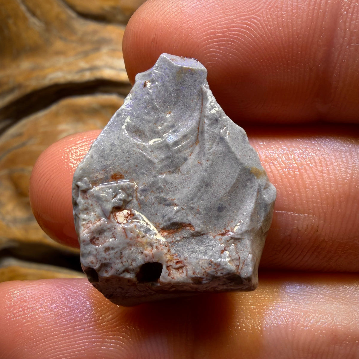 25.4cts - Lightning Ridge Dark Opal Rough Piece