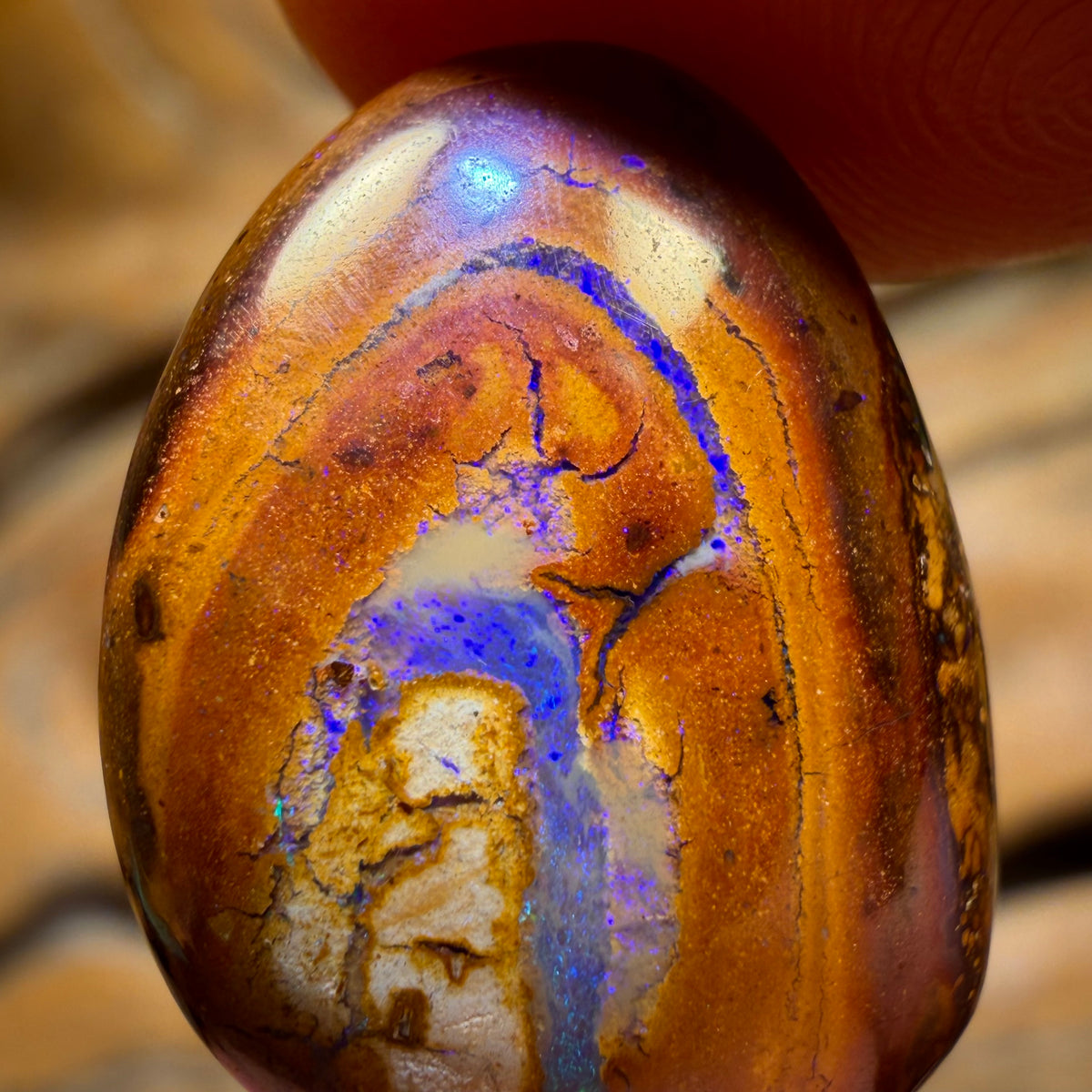 15.1cts - Yowah Nut Kernel Opal. Australian Boulder Opal
