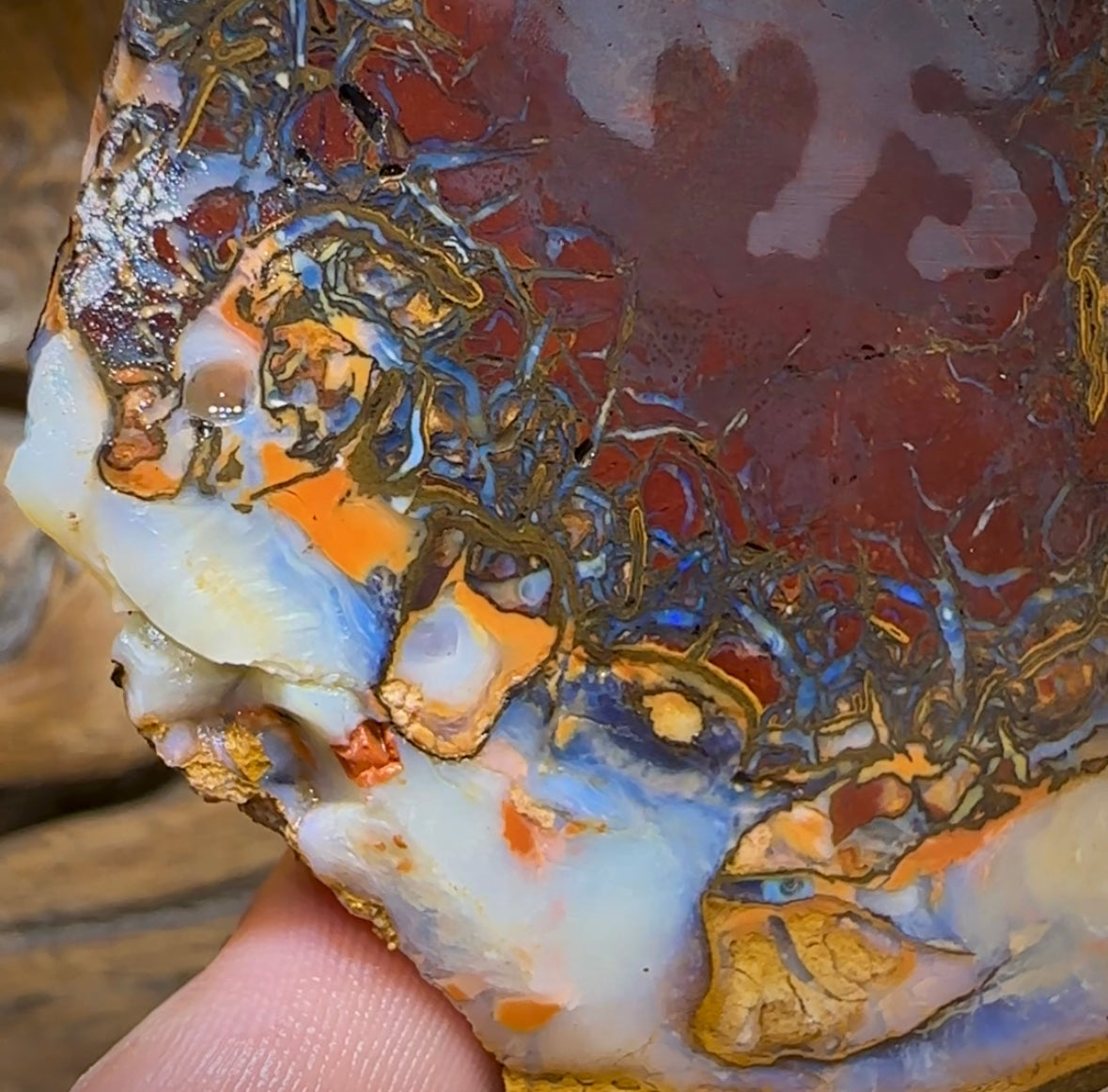 (Template) 477.8cts - Yowah Nut Rough Half. Australian Opal - Opal Whisperers