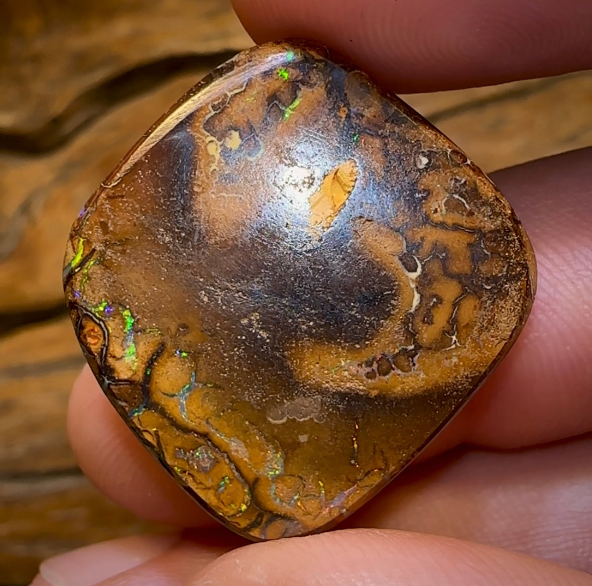 35.1cts - Queensland Boulder Opal - Opal Whisperers
