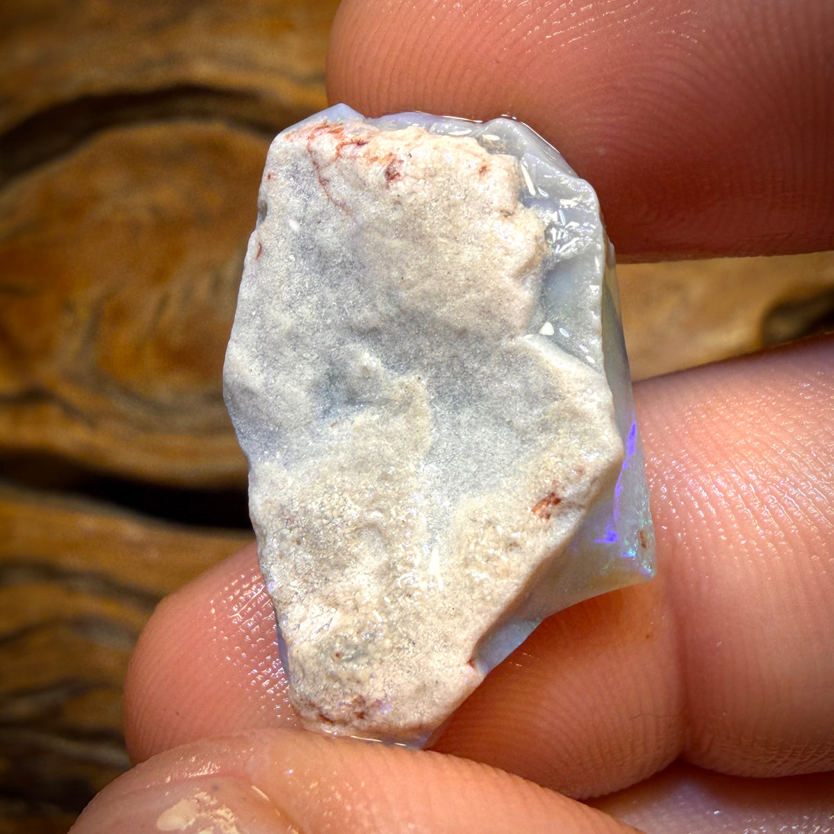 Wildcard! 19.3cts - Lightning Ridge Opal Rough Piece