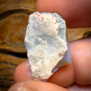 Wildcard! 19.3cts - Lightning Ridge Opal Rough Piece