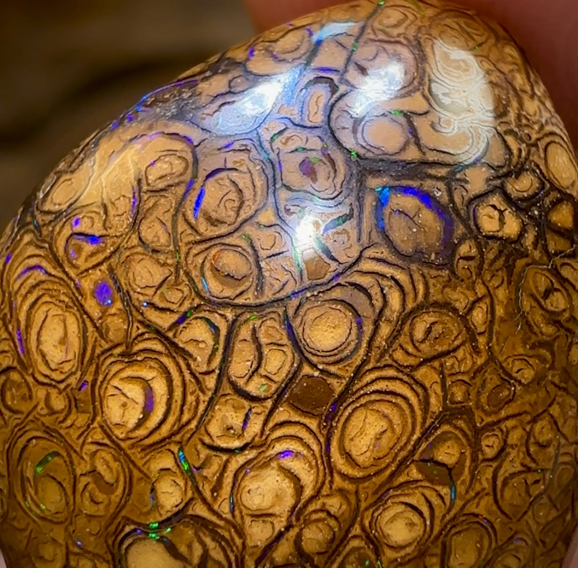 30.4cts - Australian Boulder Opal. Tribal - Opal Whisperers