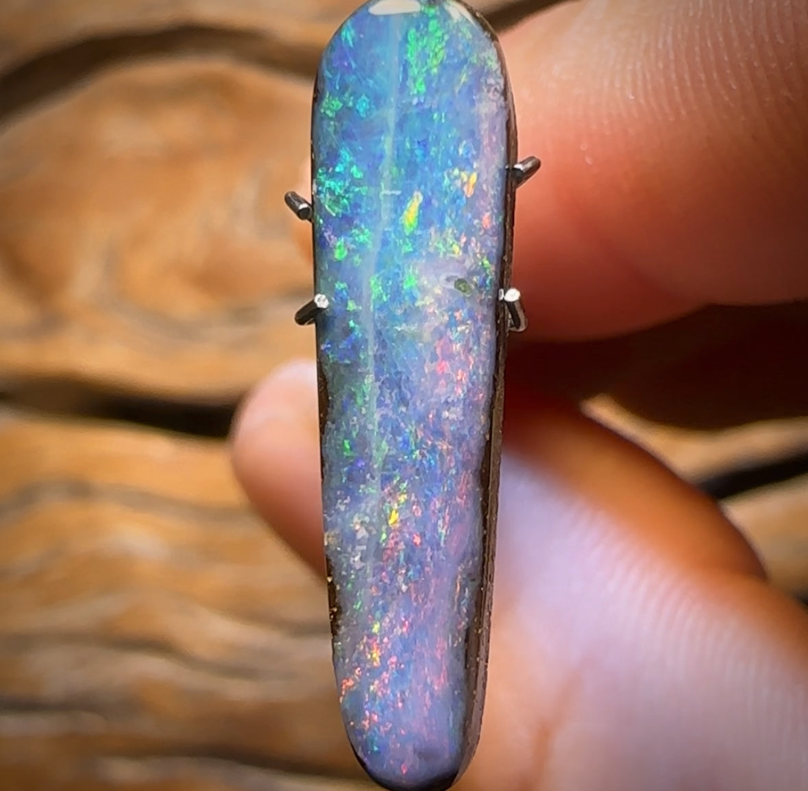 4.6cts - Queensland Boulder Seam Opal