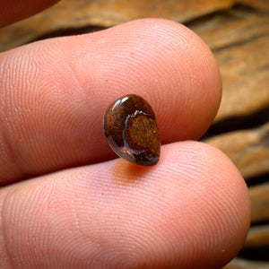 1.15cts - “Little Red Multi Rippa” Australian Crystal Center Boulder Opal from Yowah
