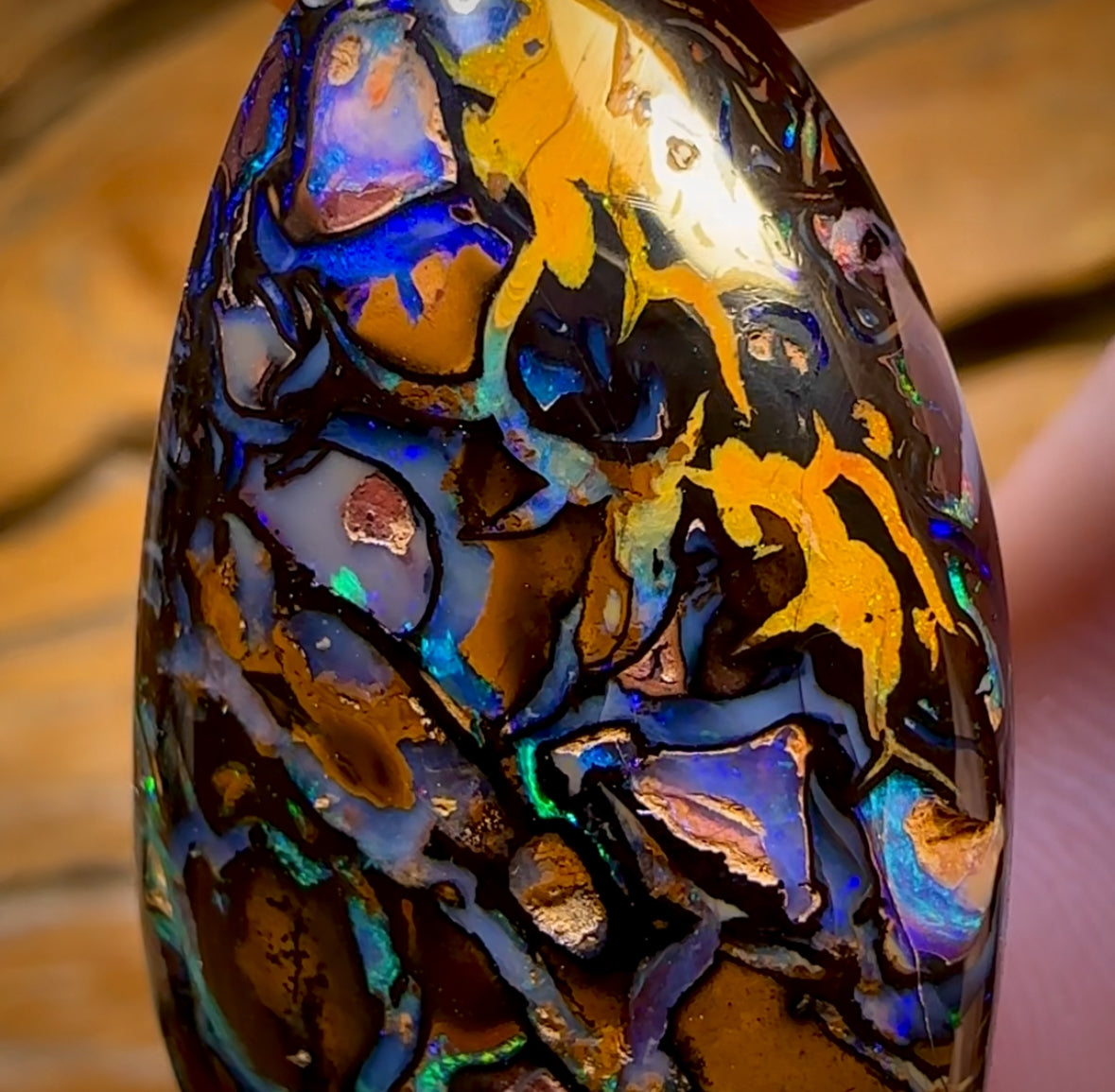 95.8cts - Top Tribal Koroit Nut Opal. Australian Opal