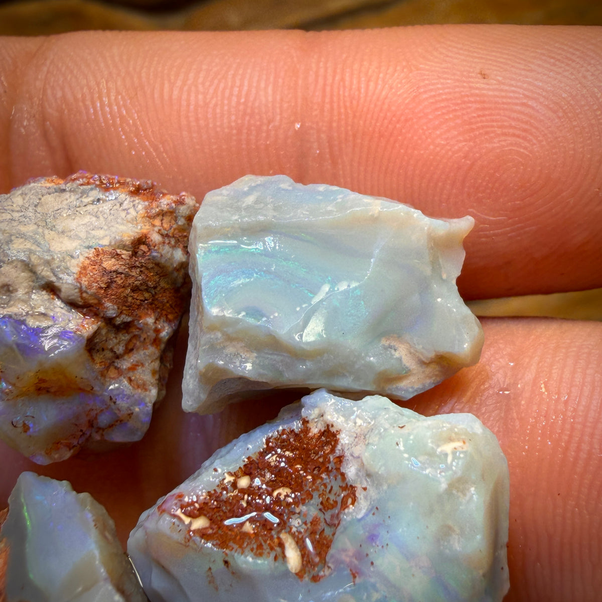60.7cts - 5x Lightning Ridge Opal Rough Parcel
