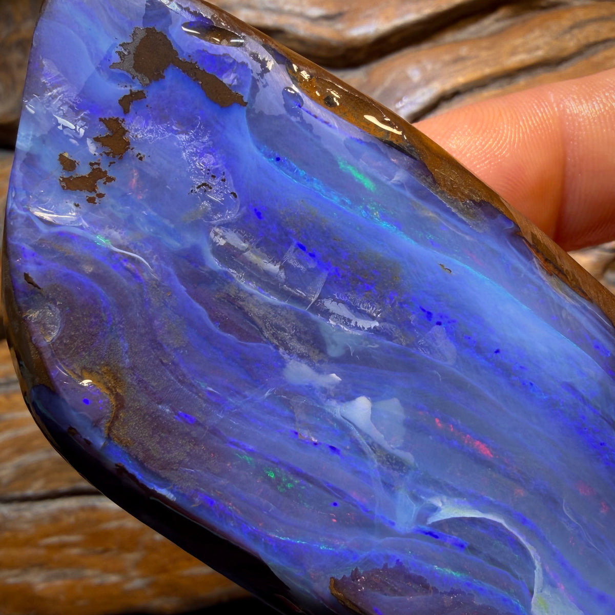 920.5cts - Top Queensland Boulder Seam Opal Rough Rub Piece