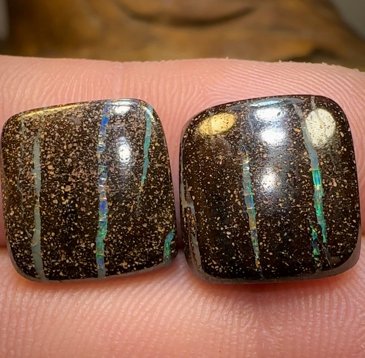 18.6cts - Queensland Boulder Opal Pair - Opal Whisperers