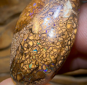 44.5cts - Tribal Australian Boulder Opal - Opal Whisperers