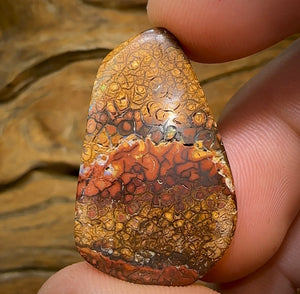 44.1cts - Australian Boulder Opal. Tan tribal landscape