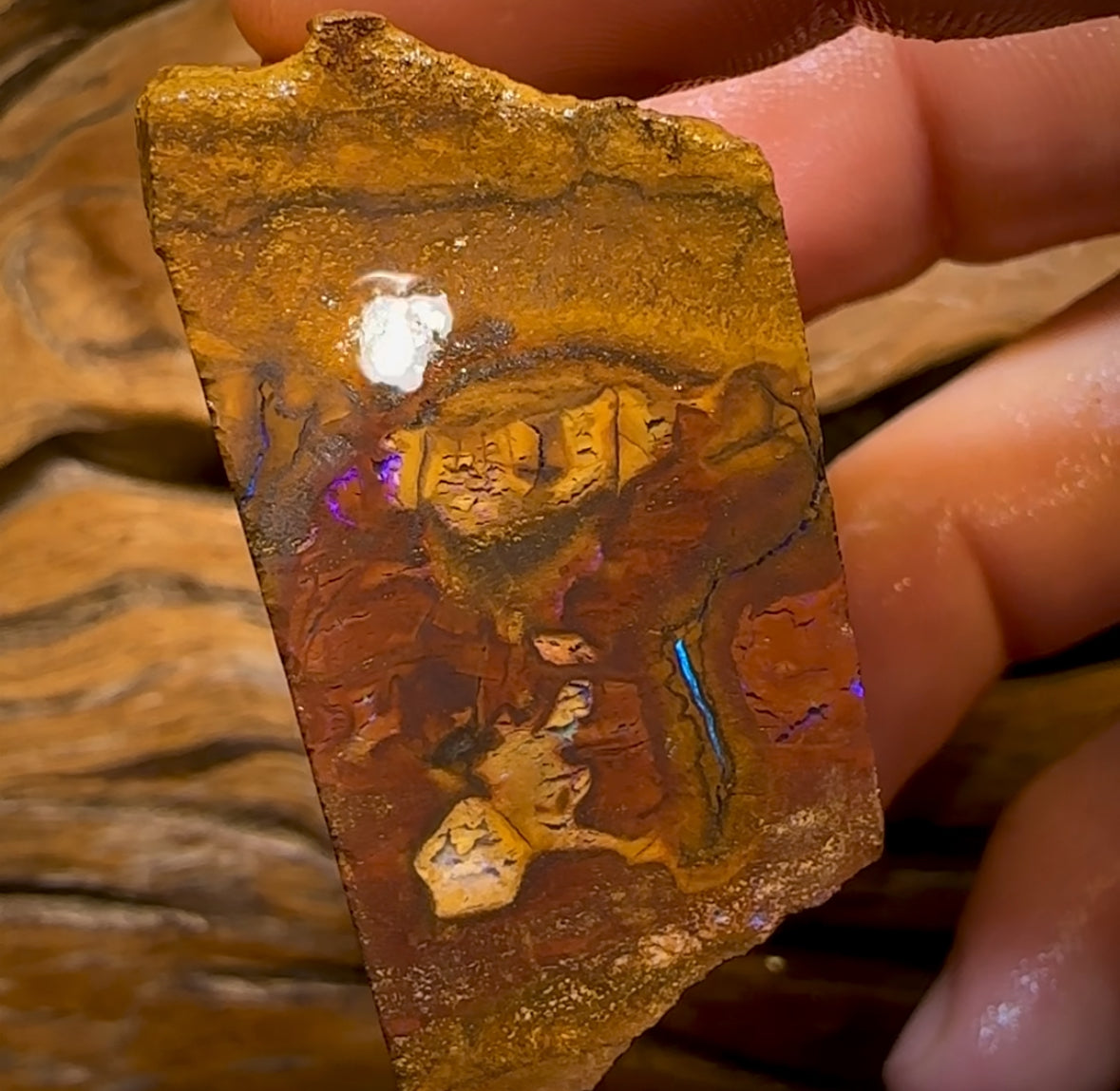 347cts - Block Slab of Queensland Boulder Opal Rough
