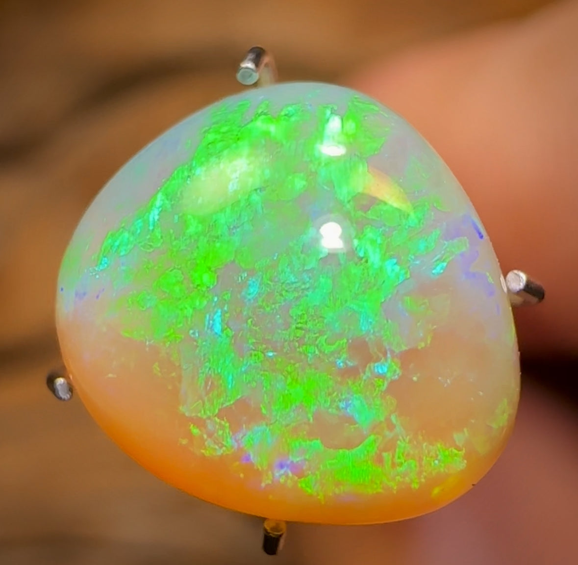 3.6cts - Lightning Ridge Golden Crystal Opal Great High Dome