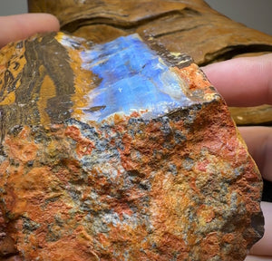 1.13kg - HUGE Queensland Boulder Opal Rough Specimen - Opal Whisperers