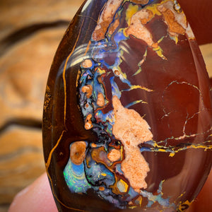 35.6cts - Tribal Queensland Boulder Opal from Yowah Bargain
