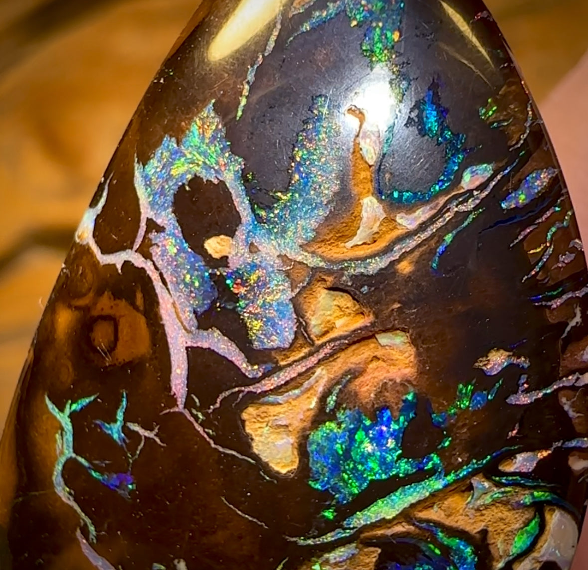 47.9cts - Rare Top Broad Tribal Yowah Nut Opal