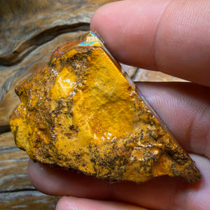 TGIF 154.4cts - TOP CUTTER Yowah Nut Conglomerate Opal Rough Piece