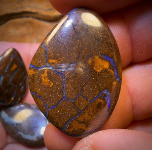 200.9cts - 5x Mixed Australian Boulder Opal’s. Wholesale Dealers Parcel