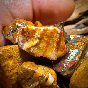 150g - Yowah Opalised Wood/Vegetation Fossil Rough Parcels. BULK LISTING!