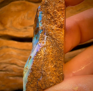 178cts - Queensland Boulder Seam Opal Rough Piece