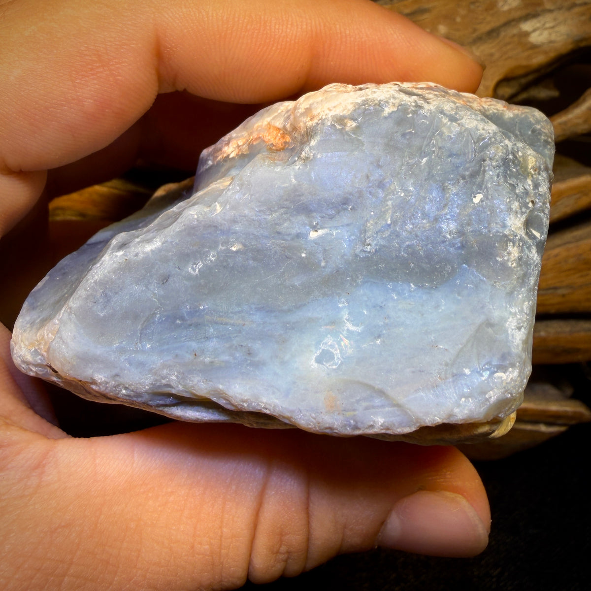 1646cts - HUGE Lightning Ridge Black Potch Opal Rough Piece