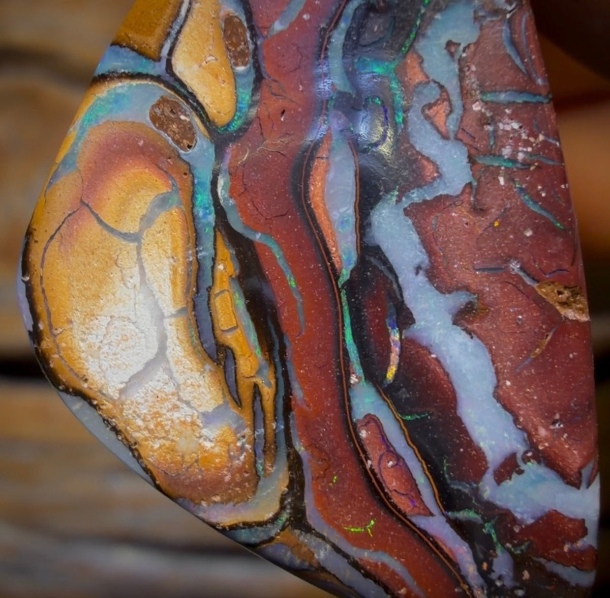 31 x 20mm - Drilled Tribal Queensland Boulder Opal Necklace