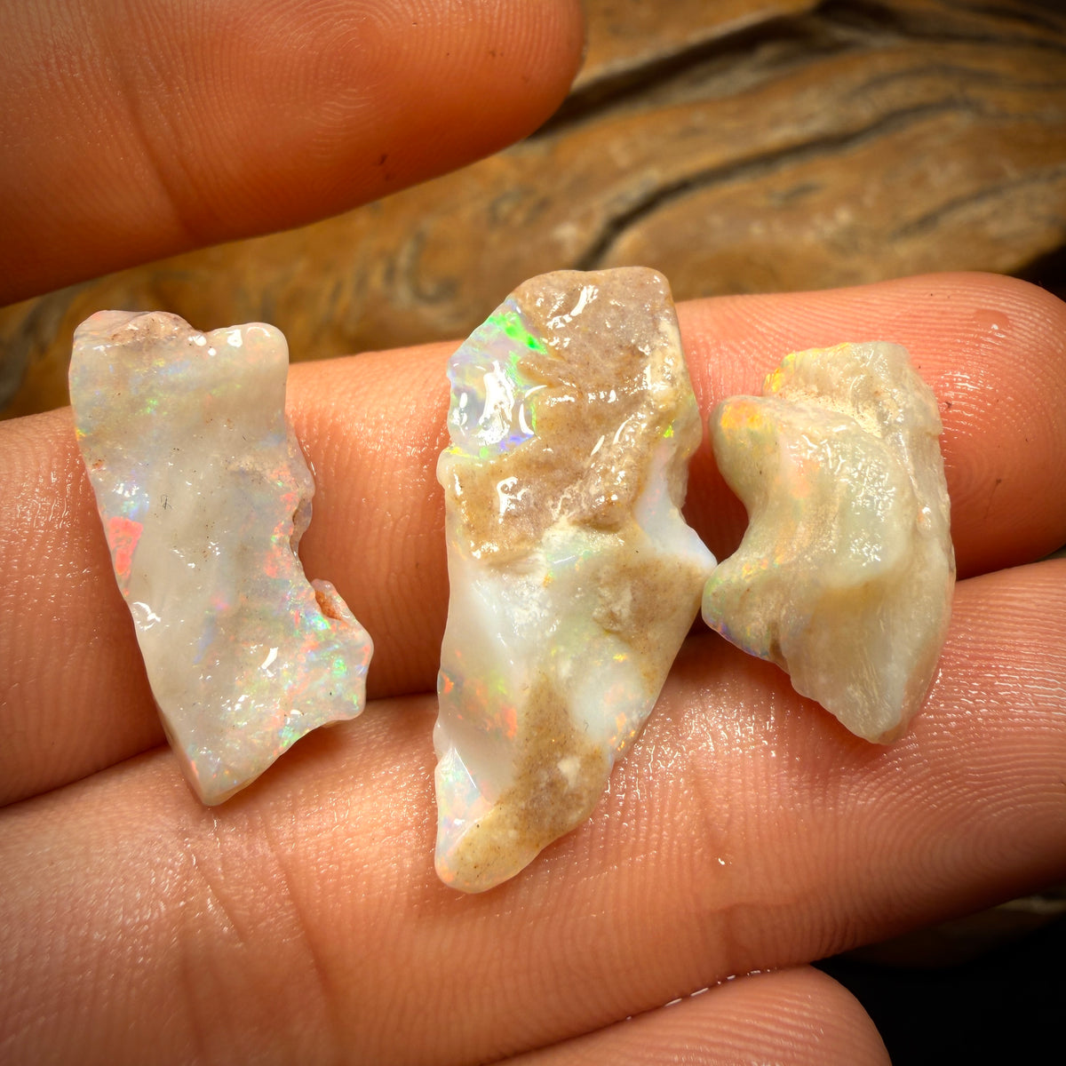 24.9cts - 3x Rare Mintabie Opal Rough Parcel. South Australian Opal