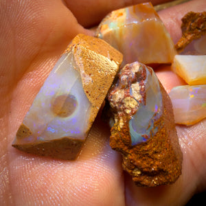 92.3cts - 6x Queensland Boulder Pipe Opal Rough Parcel