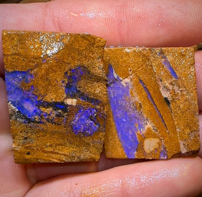 131,5 ct - 2x Queensland Boulder Pipe Opal Rohdiamant.