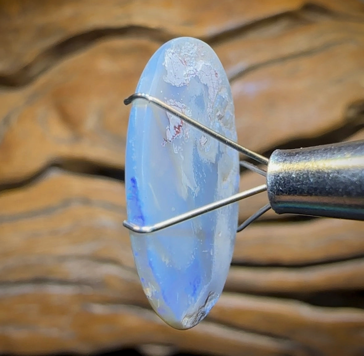 5.6cts - Lightning Ridge Dark Opal - Opal Whisperers