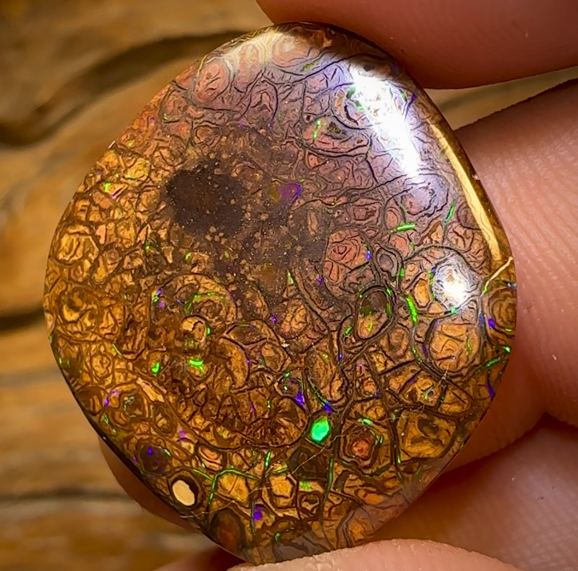 29.3cts - Tribal Yowah Nut Opal. Electric Green