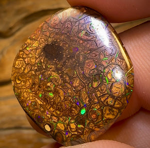 29.3cts - Tribal Yowah Nut Opal. Electric Green